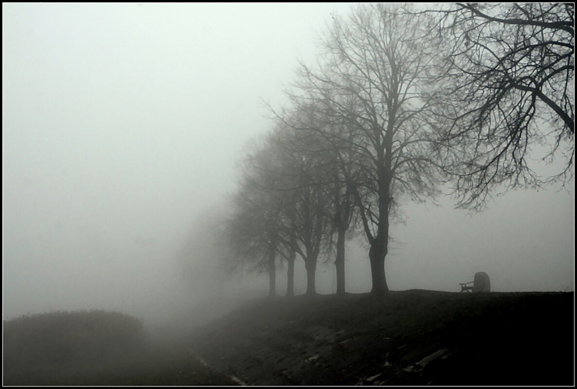 *** - Aleksandr Gal *** - Aleksandr Gal