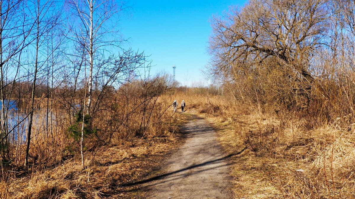 Природа Смоленщины (репортаж из поездки по области). - Милешкин Владимир Алексеевич Природа Смоленщины (репортаж из поездки по области). - Милешкин Владимир Алексеевич