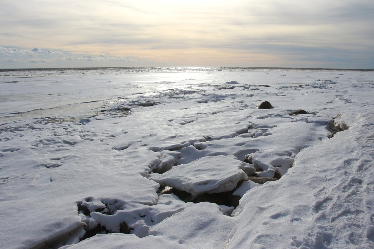 Безмолвие - Наталья Герасимова Безмолвие - Наталья Герасимова