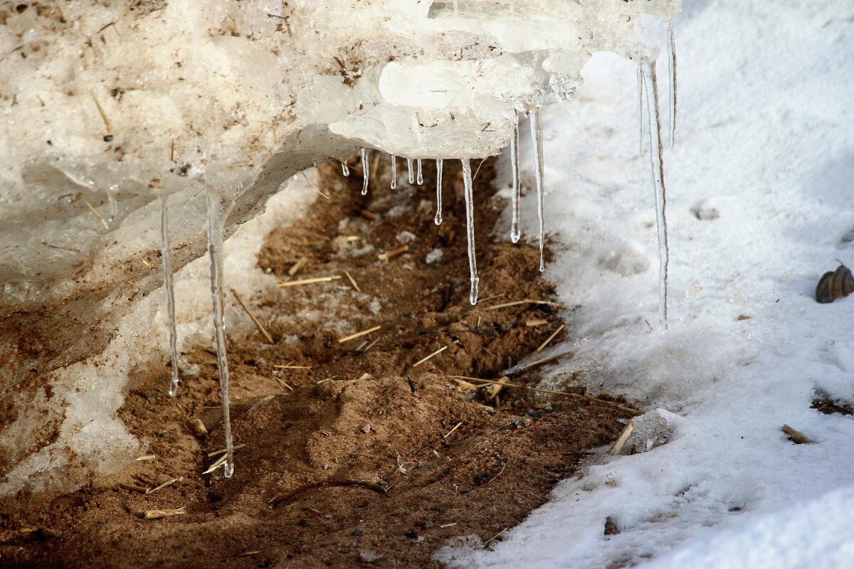 На солнышке - Наталья Герасимова