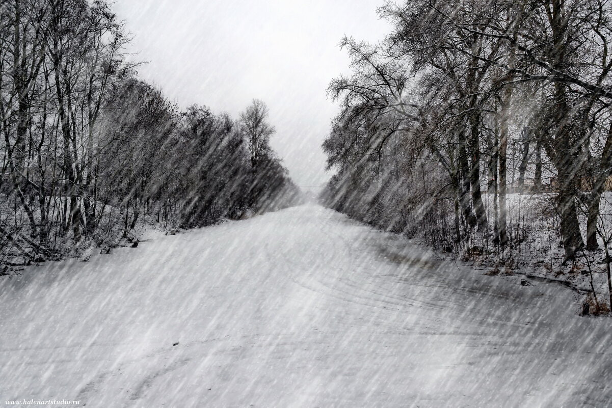 СТАРОЛАДОЖСКИЙ КАНАЛ - Игорь Корф СТАРОЛАДОЖСКИЙ КАНАЛ - Игорь Корф