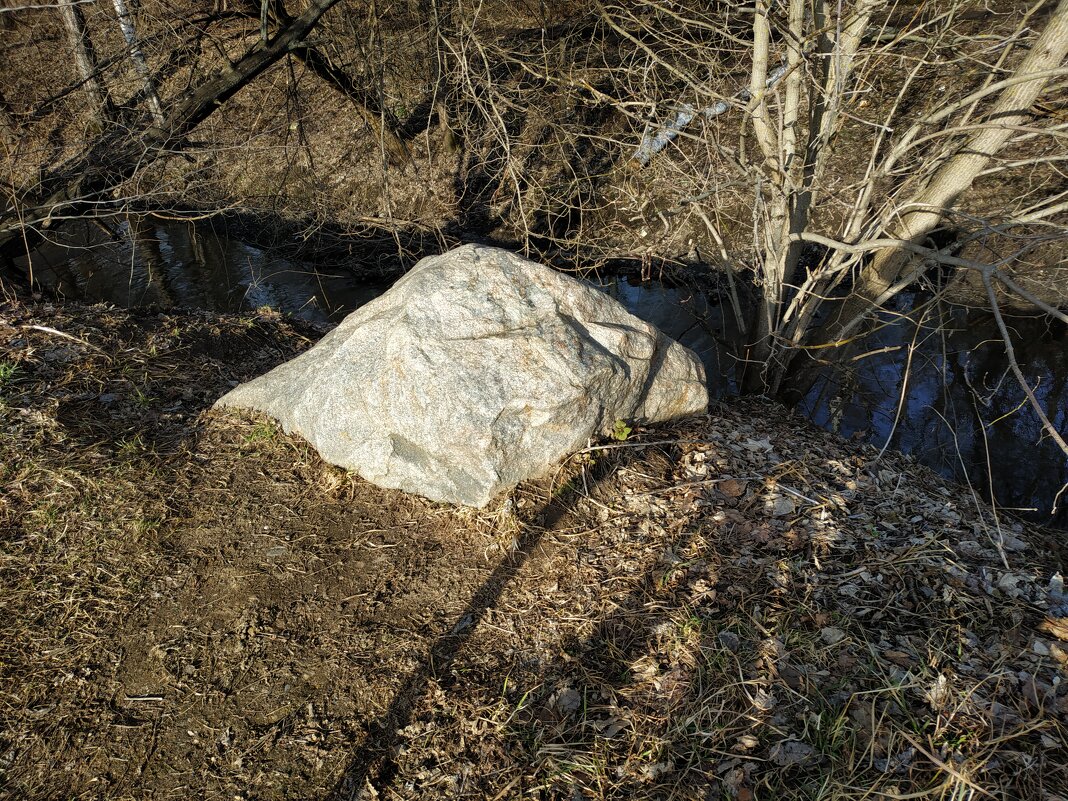 Как я провел день рождения И.С. Баха - Андрей Лукьянов Как я провел день рождения И.С. Баха - Андрей Лукьянов