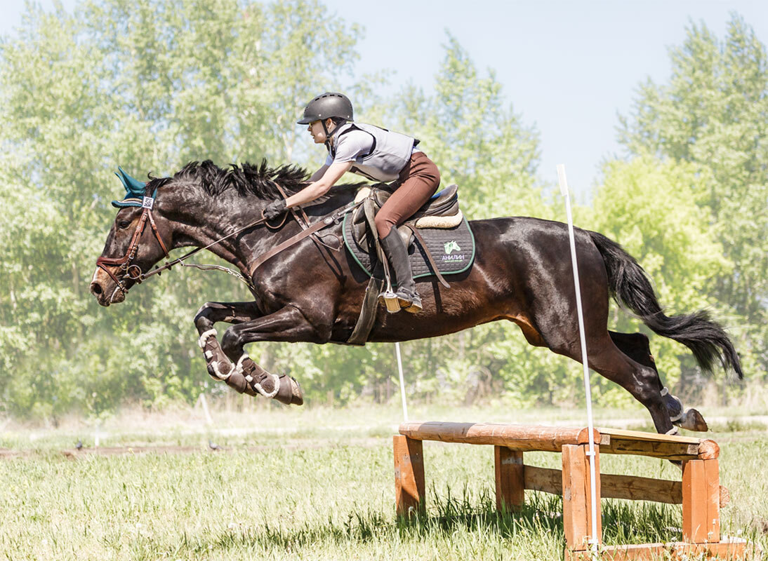 Кросс - SanSan Кросс - SanSan