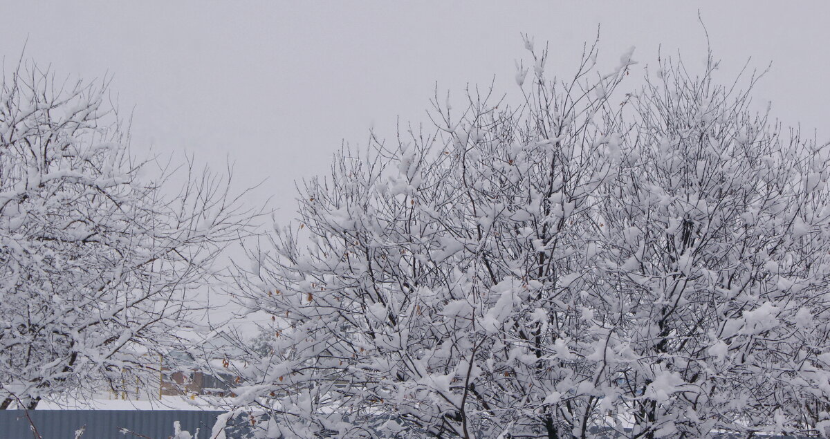 Утро вчерашнего дня. - сергей ермошкин Утро вчерашнего дня. - сергей ермошкин