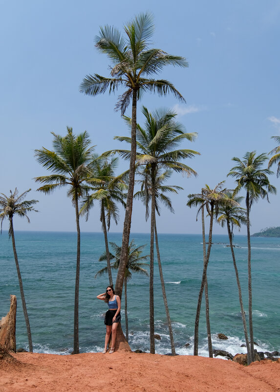 Кокосовые пальмы - Dmitry i Mary S Кокосовые пальмы - Dmitry i Mary S