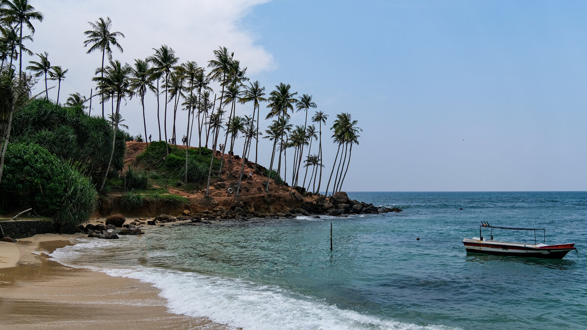 Мыс с пальмами - Dmitry i Mary S Мыс с пальмами - Dmitry i Mary S