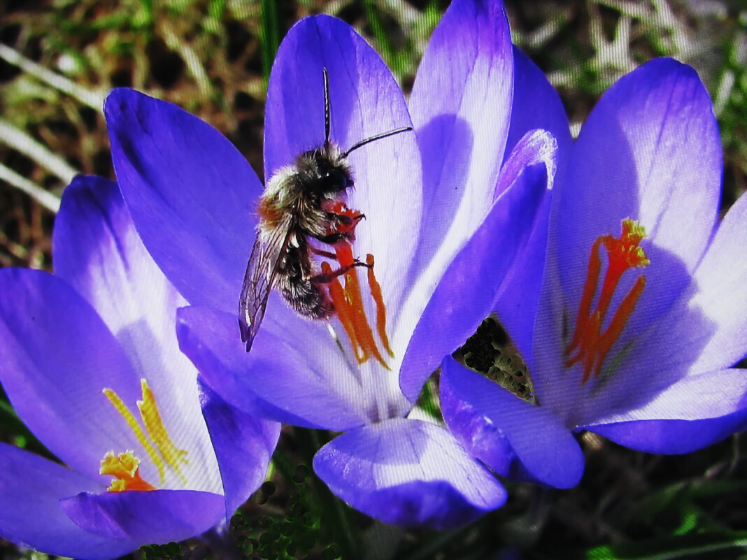 Голодная - Людмила Смородинская Голодная - Людмила Смородинская