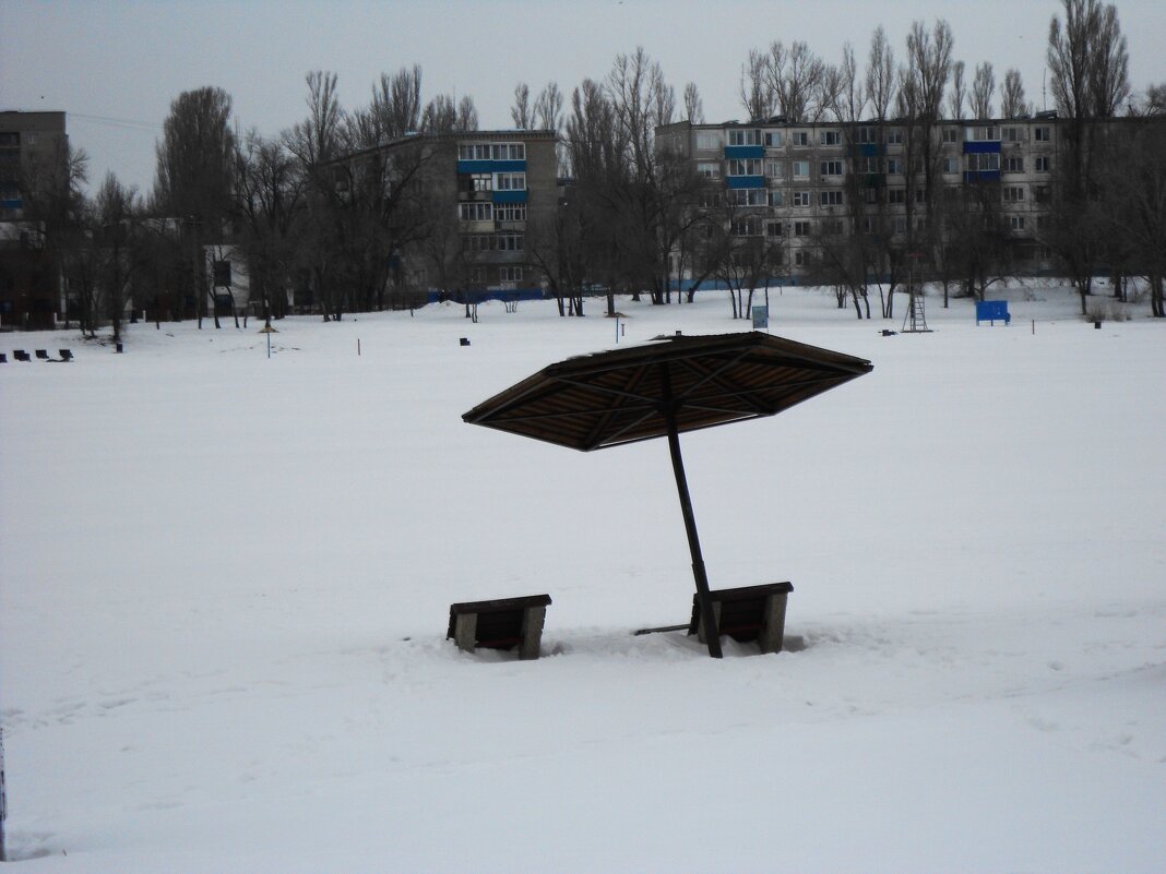 первые дни марта - Елена Шаламова