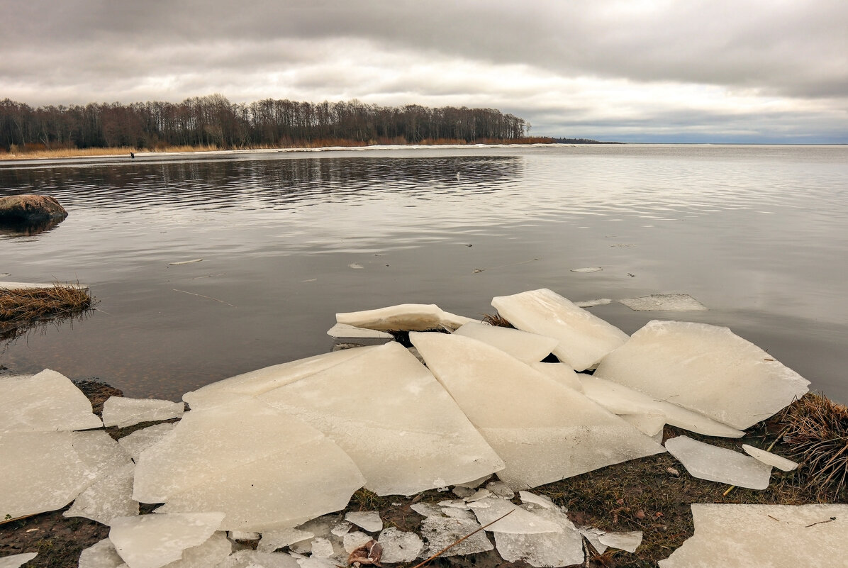 Сестрорецк - skijumper Иванов Сестрорецк - skijumper Иванов