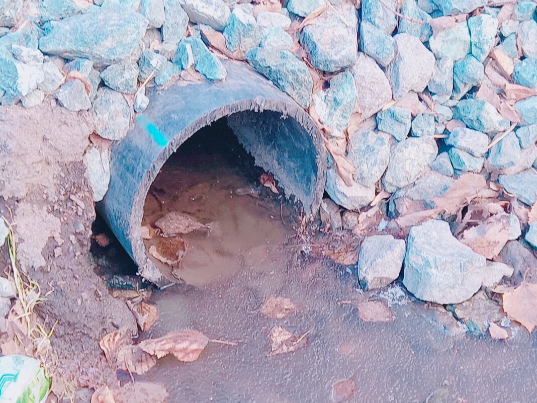 Сточная труба-вход в канализацию. - Игорь Солдаткин Сточная труба-вход в канализацию. - Игорь Солдаткин