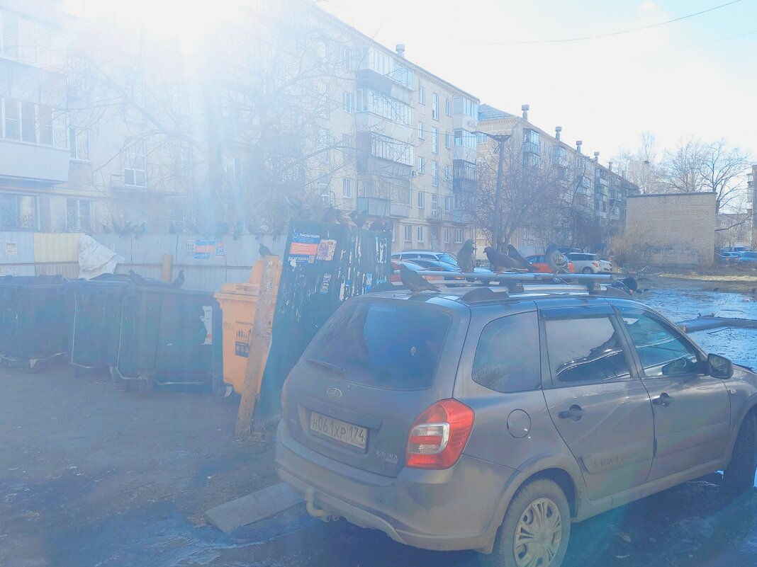 Место голубиного, слёта. - Игорь Солдаткин