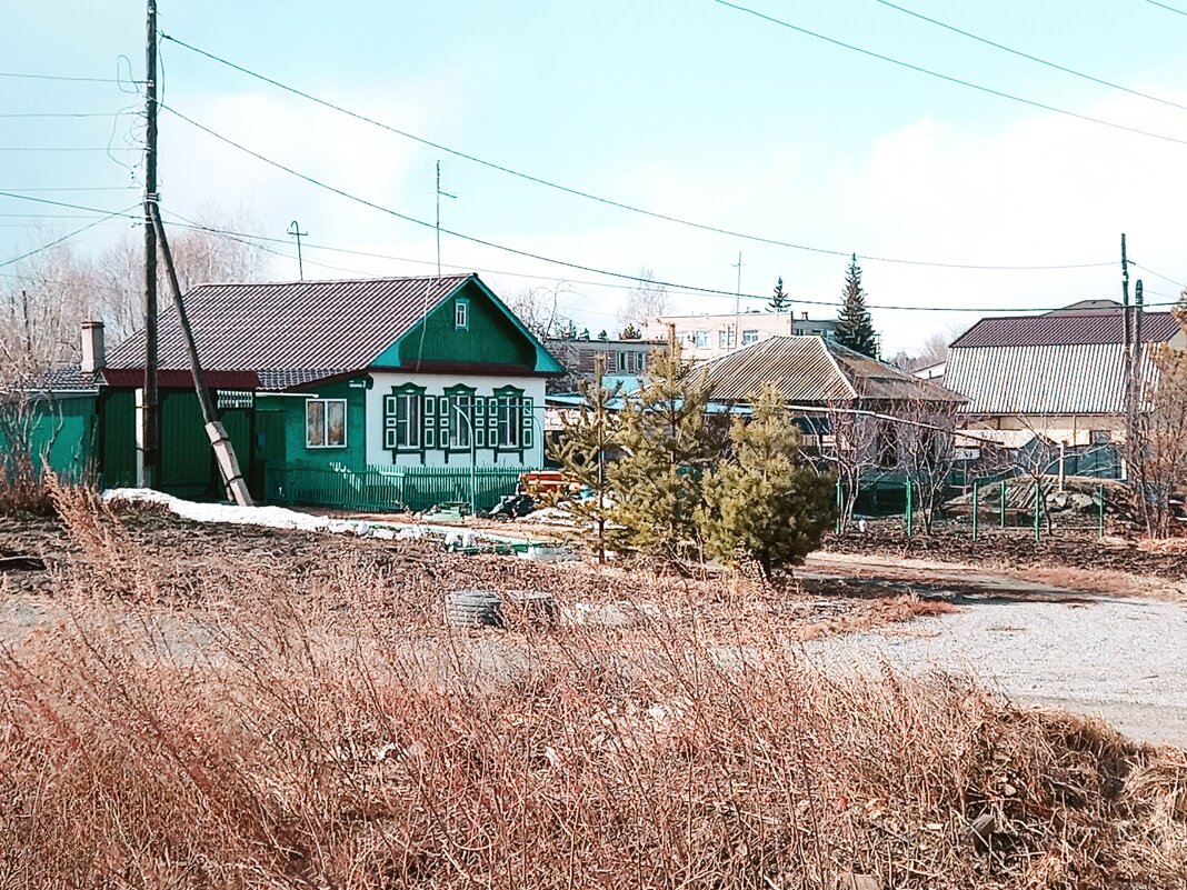 Деревенский дом с дальней перспективой - Игорь Солдаткин