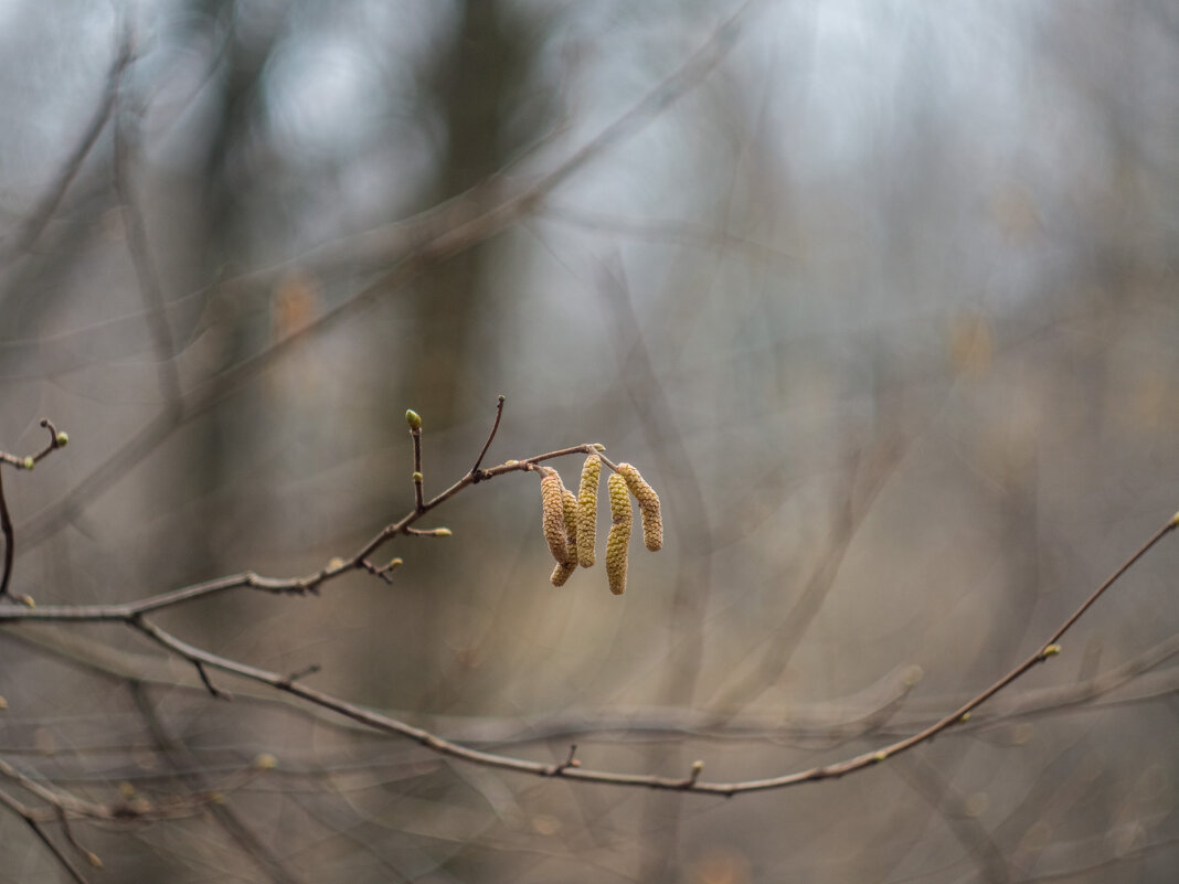 ___ - Yuriy V ___ - Yuriy V