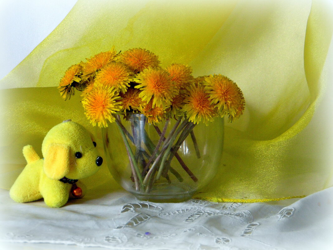 Одуванчики. - nadyasilyuk Вознюк