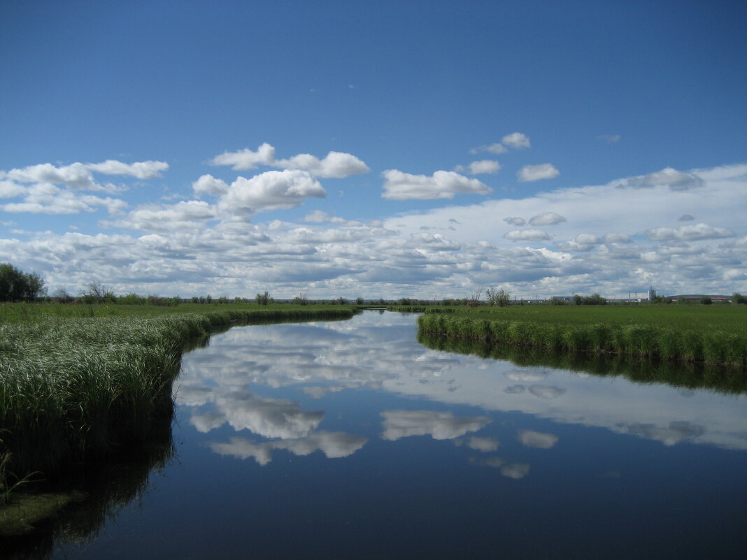 Лето - Anna Ivanova Лето - Anna Ivanova