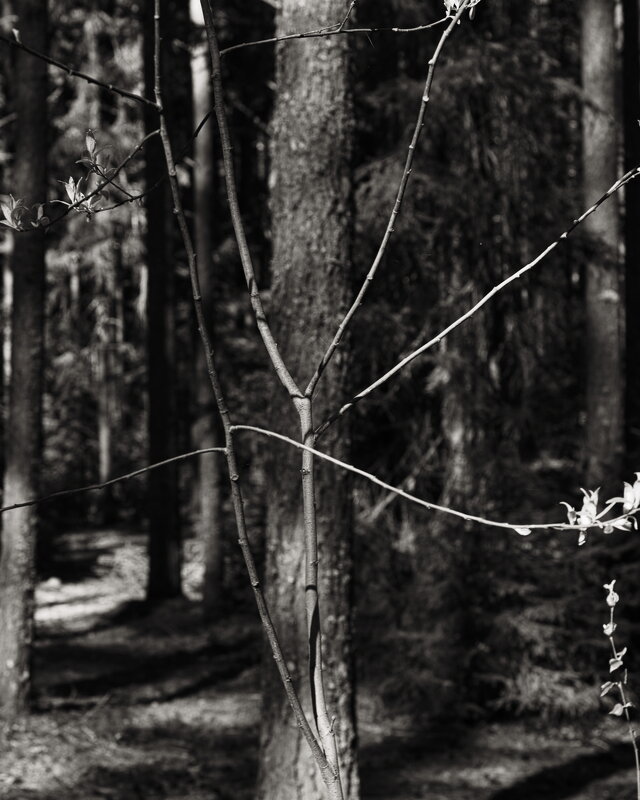 Название отсутствует - Денис Безногов