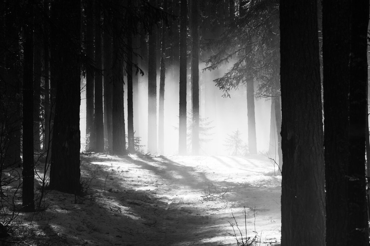 туман - александр 