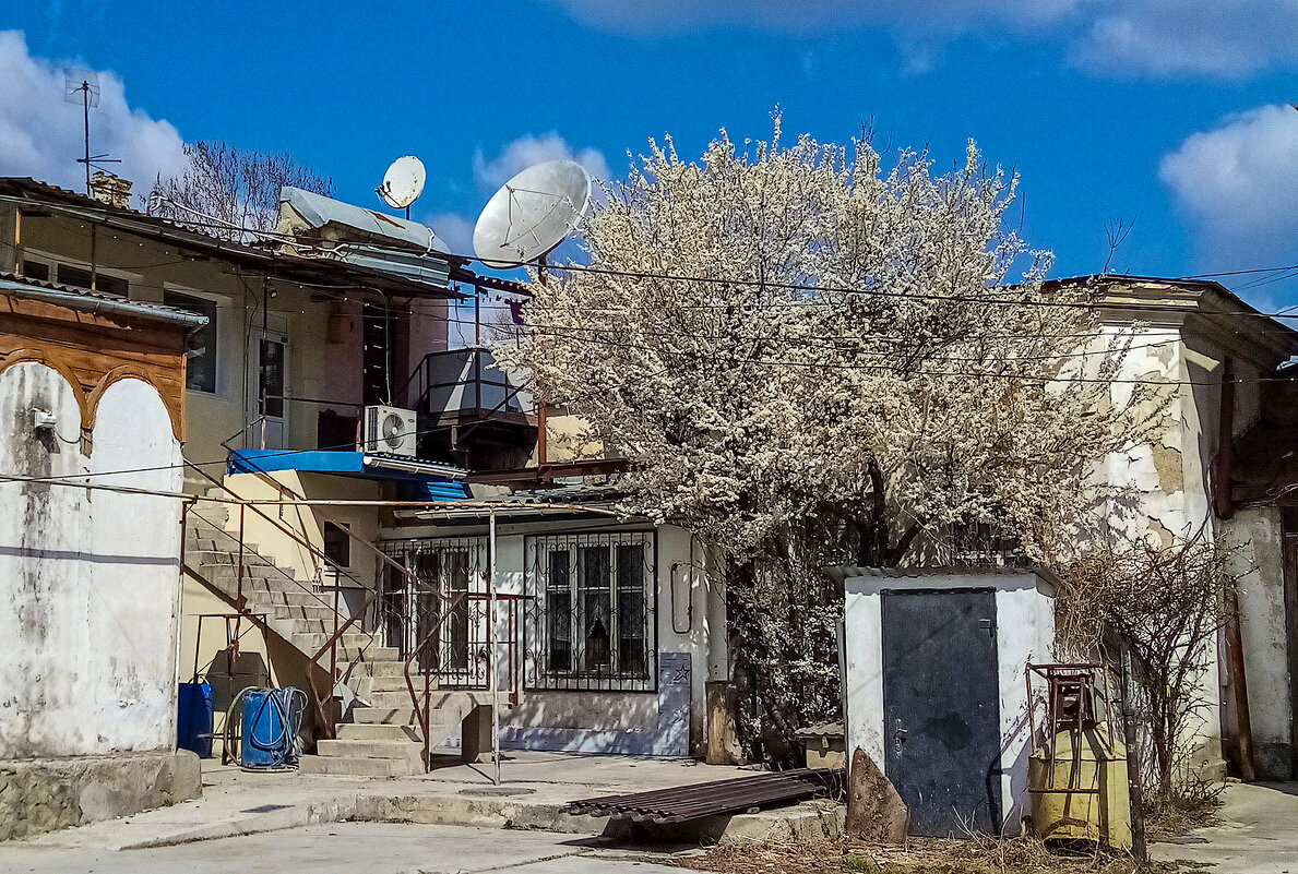 Весна заглянула в трущобы - Юрий Яловенко Весна заглянула в трущобы - Юрий Яловенко