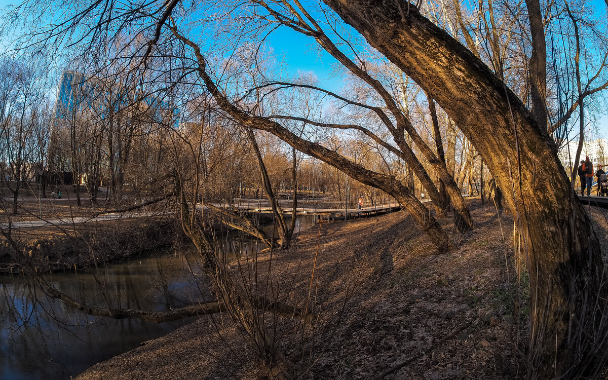 ***** - юрий поляков ***** - юрий поляков