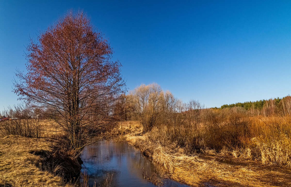 Утро 22 марта - Андрей Дворников