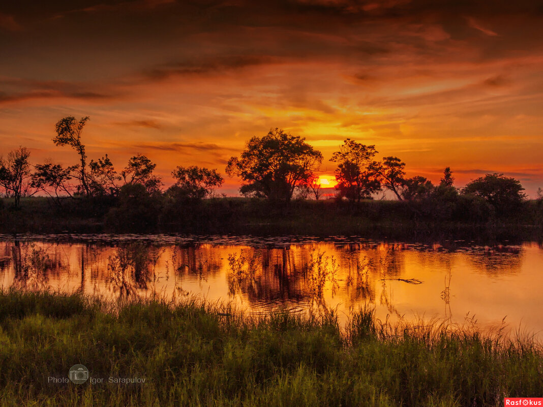 Вечер в Дальневосточной саванне - Игорь Сарапулов