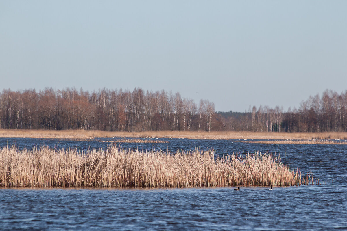 *** - Геннадий Порохов