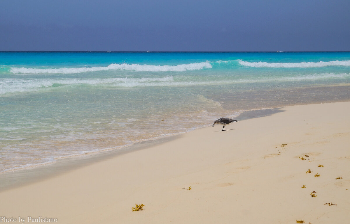 Из пляжной жизни... - Владимир Жданов Из пляжной жизни... - Владимир Жданов