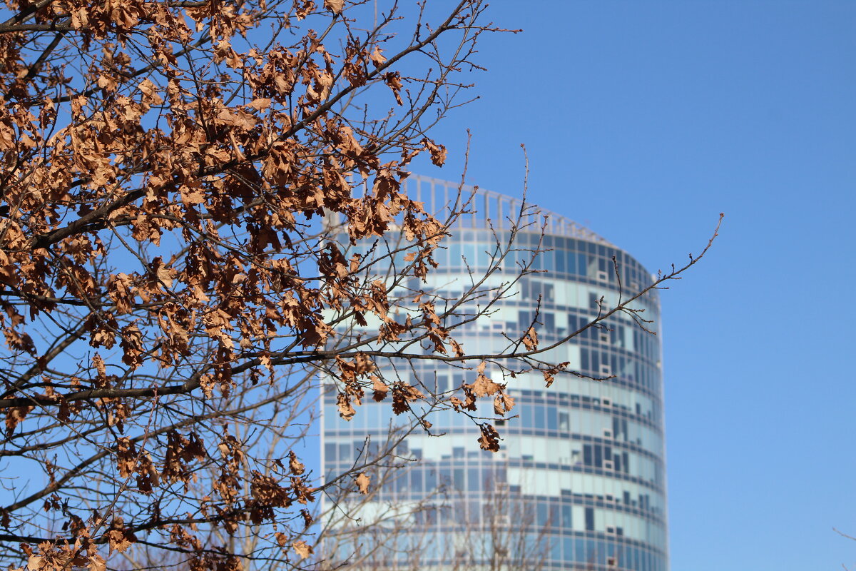 Оттенки - ii_ik Иванов