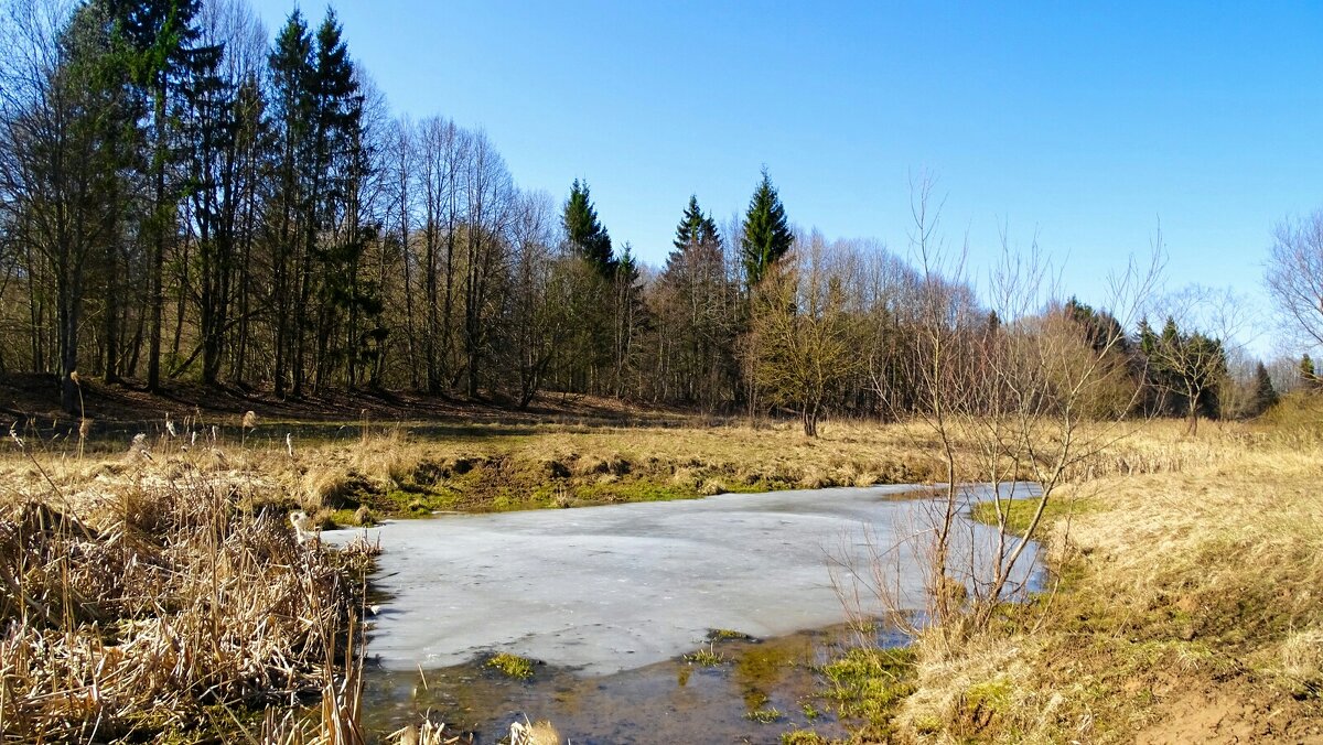 Весна - март - Милешкин Владимир Алексеевич Весна - март - Милешкин Владимир Алексеевич