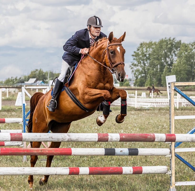 Конкур - SanSan 