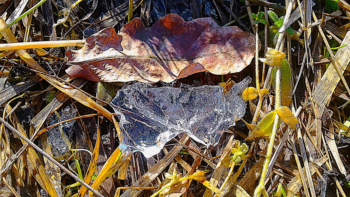 ***в е с е н н е е*** - Olga Oskolkova