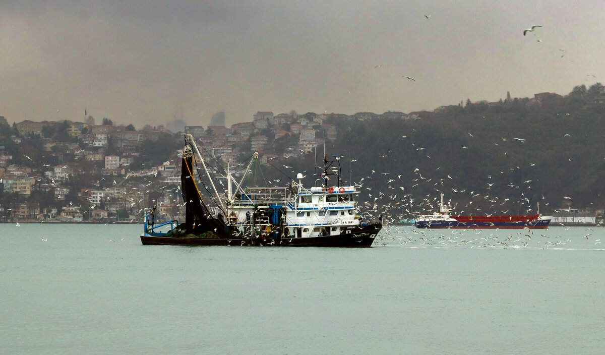 На Босфоре - skijumper Иванов На Босфоре - skijumper Иванов