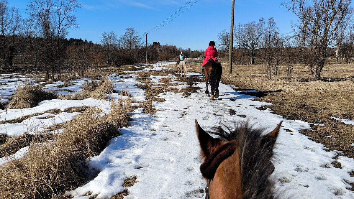 Верхом по полям. - Ольга Верхом по полям. - Ольга