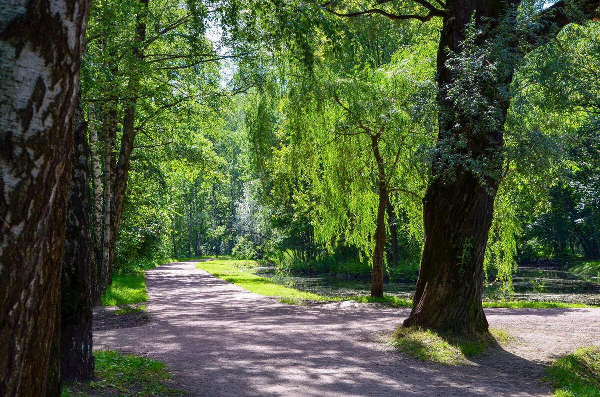 На Малинковке - Алексей Просвиряков На Малинковке - Алексей Просвиряков