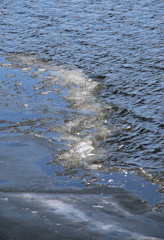 Мартовский лед - Павленко Михаил 