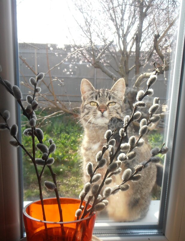 Утро :) - Наталья Утро :) - Наталья