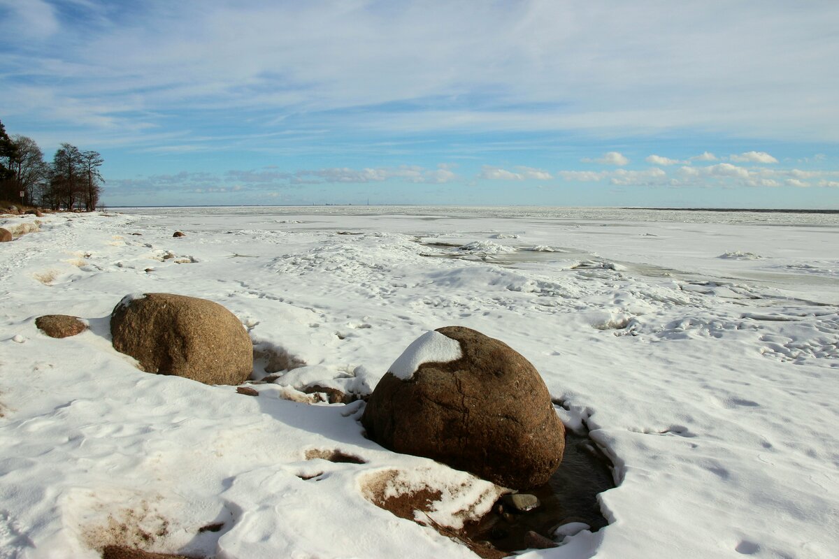 Зеленогорск. Март - Наталья Герасимова