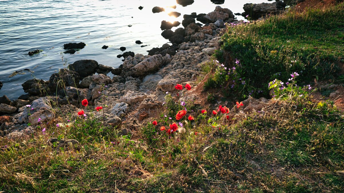 Крымские зарисовки - Александр Гапоненко Крымские зарисовки - Александр Гапоненко