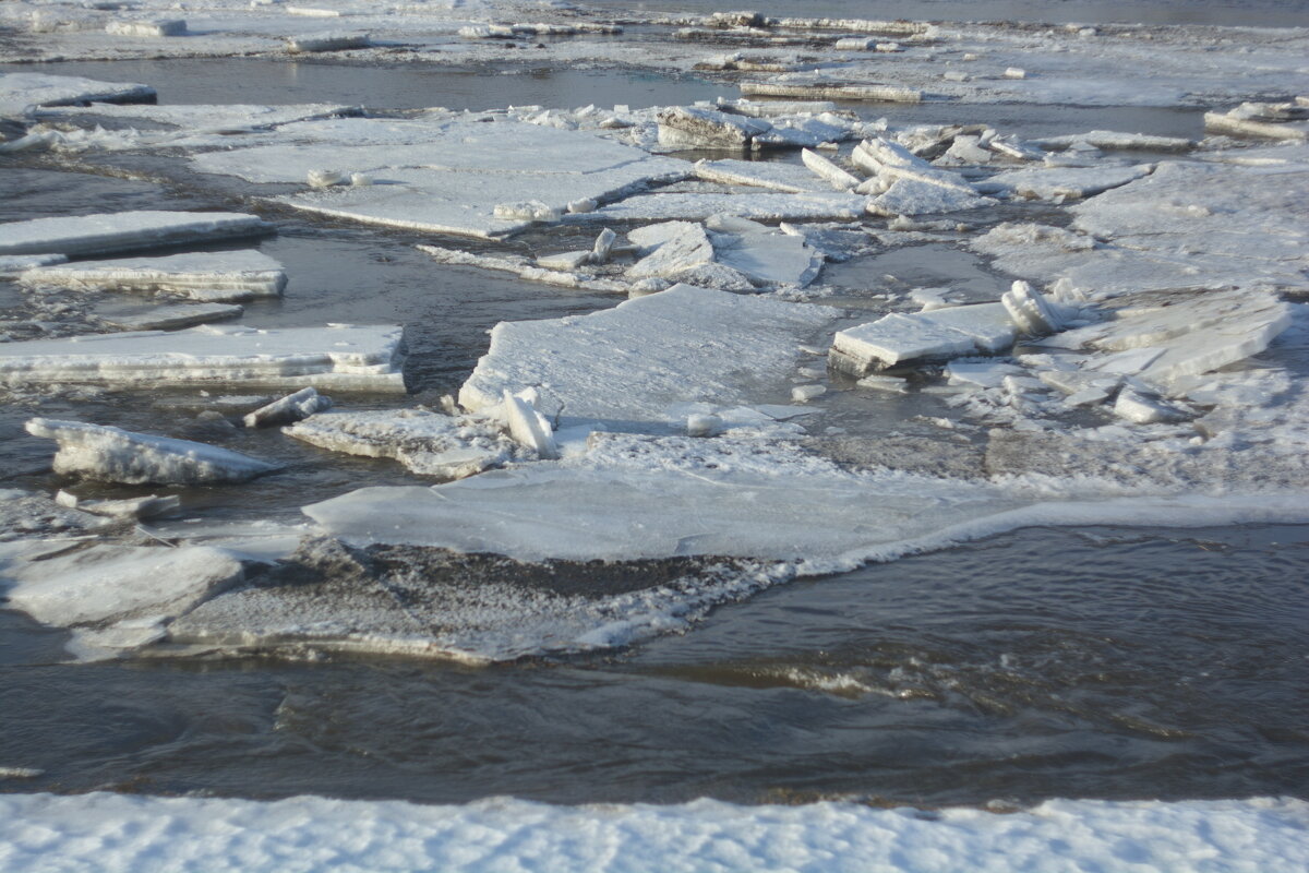 Плывёт, плывёт по речке лёд. 22 марта 2025 года. Исеть. - Михаил Полыгалов Плывёт, плывёт по речке лёд. 22 марта 2025 года. Исеть. - Михаил Полыгалов