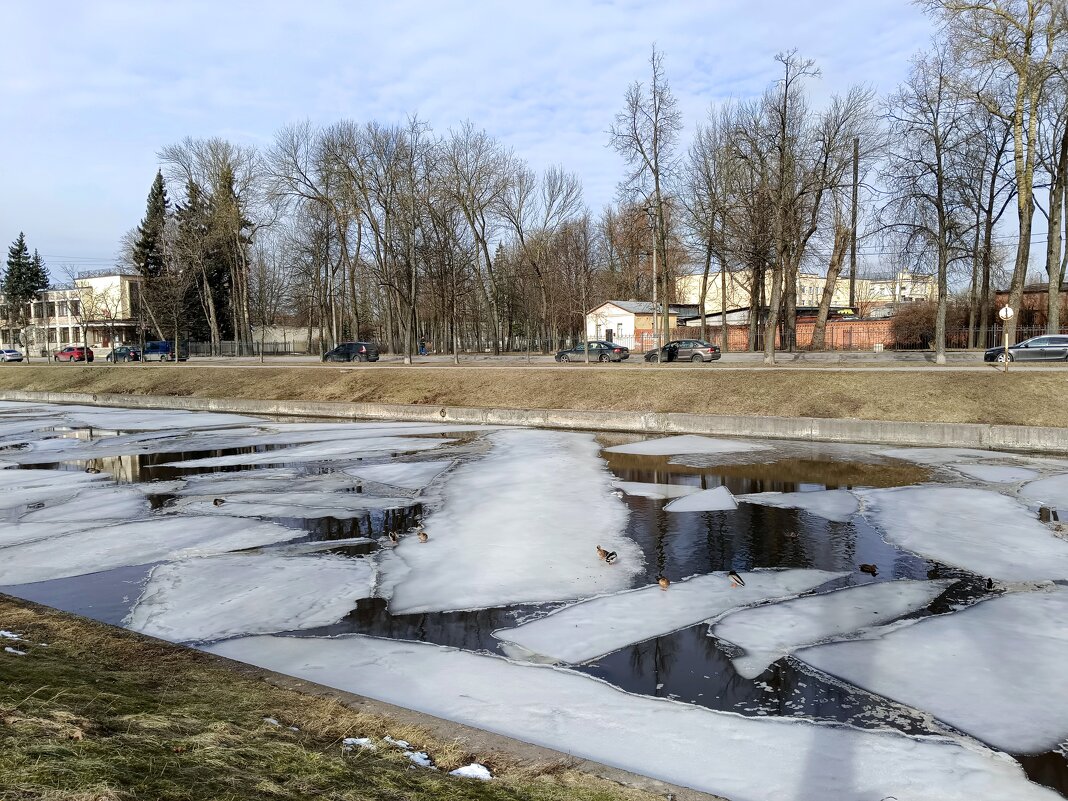 Март в городе - Мария Васильева Март в городе - Мария Васильева