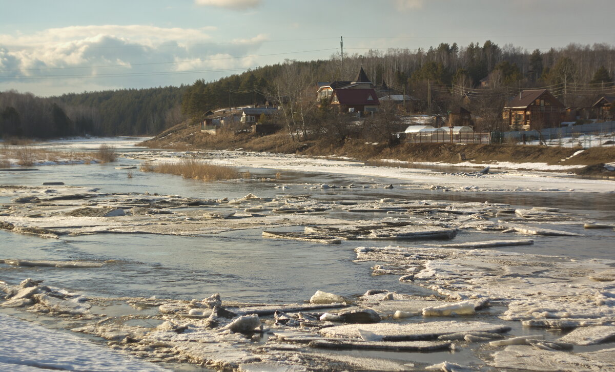 Исеть вошла в Щербаково. 22 марта 2025 года - Михаил Полыгалов Исеть вошла в Щербаково. 22 марта 2025 года - Михаил Полыгалов