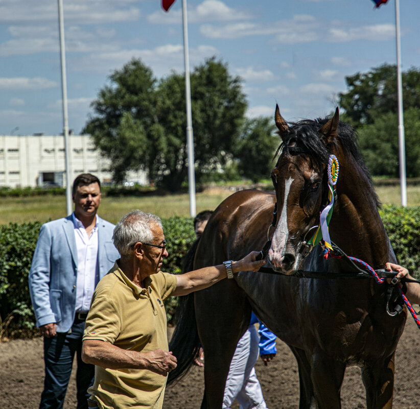 старый тренер и чемпион.. - golkiper61 старый тренер и чемпион.. - golkiper61