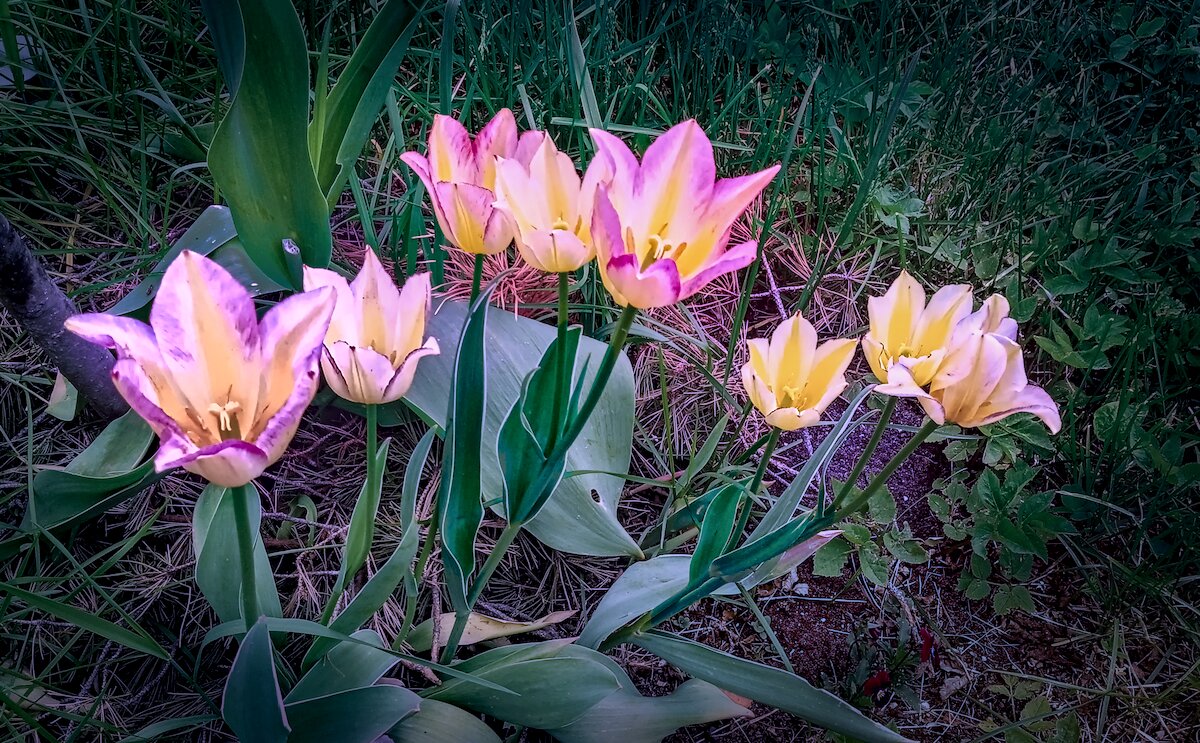 Эксперимент - Andy 