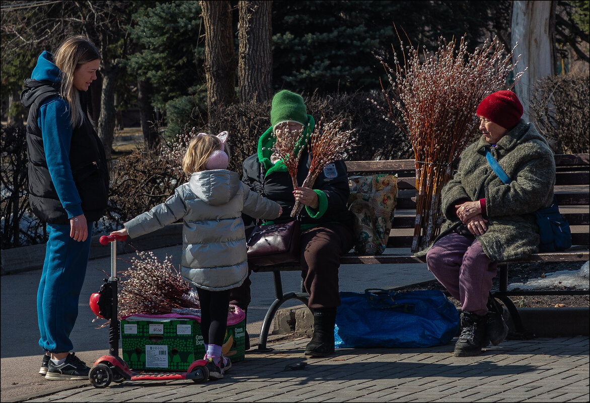 Верба - Александр Тарноградский Верба - Александр Тарноградский