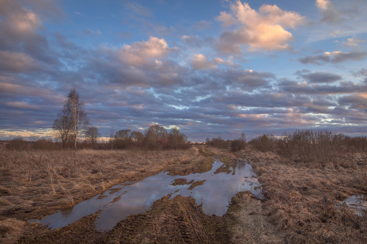 **** - Елизавета .