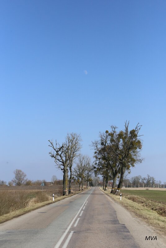 Забытыми дорогами... - Вячеслав Макушин