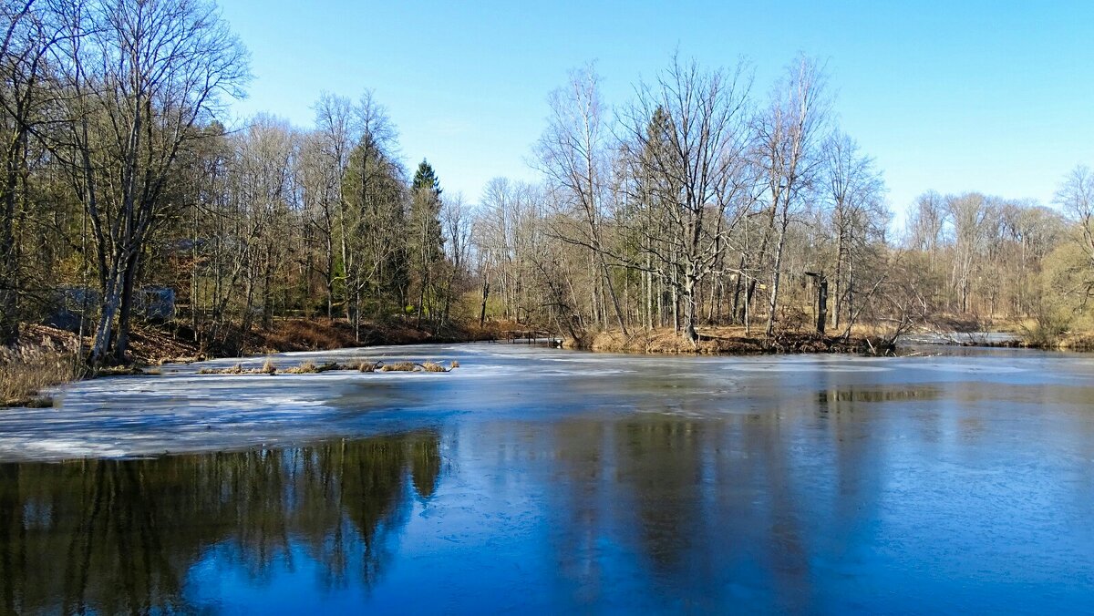 Про нашу весну. - Милешкин Владимир Алексеевич Про нашу весну. - Милешкин Владимир Алексеевич