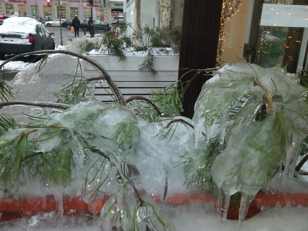 Заледенело.... - Надежда 