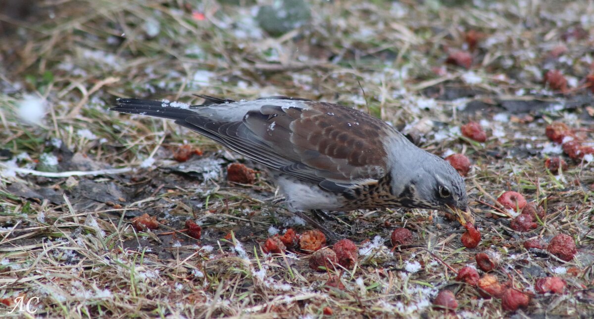 И это всё мое! - Любовь Сахарова И это всё мое! - Любовь Сахарова
