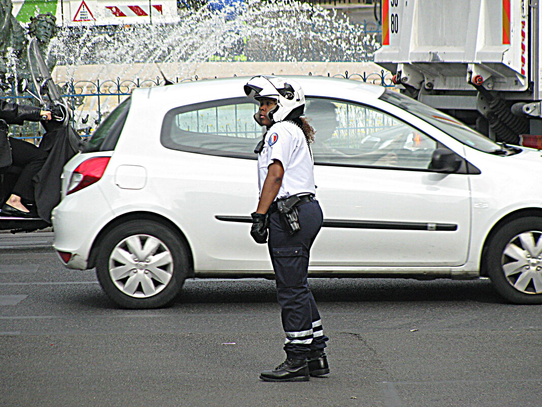 Париж. - Владимир Драгунский